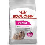 Royal Canin Mini Exigent 3 kg Yetişkin Köpek Maması Av Eti Lezzetiyle Seçici İştahı Artırır