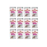 Royal Canin Mini Exigent 6x85 gr Köpek Yaş Mama