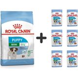 Royal Canin Mini Puppy 2 kg Yavru Köpek Maması + 6 Adet Yaş Mama