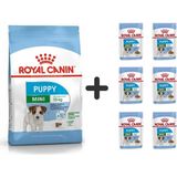 Royal Canin Mini Puppy 4 kg Yavru Köpek Maması + 6 Adet Yaş Mama
