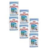 Royal Canin Mini Puppy Küçük Irk 6x85 gr Yavru Köpek Konservesi