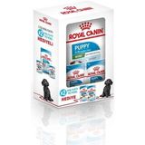 Royal Canin Mini Puppy Küçük Irk Yavru Köpek Maması 2 Kg + 2 Konserve
