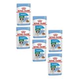 Royal Canin Mini Puppy Pouch Konserve 6x85 gr Yavru Köpek Maması