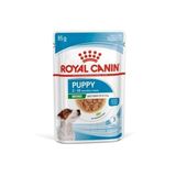 Royal Canin Mini Puppy Yaş Köpek Maması 2 Kilogram