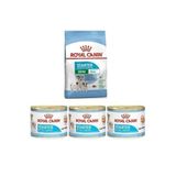 Royal Canin Mini Starter 3 Kg +3 'Lü Starter Konserve Yaş Köpek Maması 195 Gr Rcnn