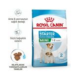 Royal Canin Mini Starter 4 kg Tavuk Aromalı Küçük Irk Anne ve Yavru Köpek Maması 0-4 Ay İçin