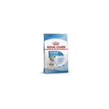 Royal Canin Mini Starter Anne ve Yavru Köpek Maması 1 Kilogram | Doğal savunma, sindirim, gebelik ve emzirmeyi destekler, kolay rehidrasyon ile