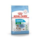 Royal Canin Mini Starter Anne ve Yavru Köpek Maması 1 Kilogram | Doğal savunma, sindirim, gebelik ve emzirmeyi destekler, kolay rehidrasyon ile