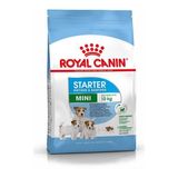 Royal Canin Mini Starter Anne ve Yavru Köpek Maması 3 kg Tavuk Etli Düşük Tahıllı Beslenme - 1
