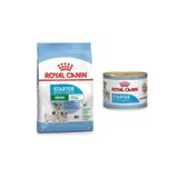 Royal Canin Mini Starter Küçük Irk Anne ve Yavru Köpek Maması 4 Kg + Mini Starter Konserve 195 gr