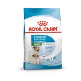 Royal Canin Mini Starter Mother&Babydog Yavru Köpek Maması 4Kg