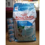 Royal Canin Mini Starter Yavru Köpek Kuru Maması 4 Kg+5 Adet Mini Starter Yavru Köpek Konserve 195 Gram