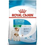 Royal Canin Mini Starter Yetişkin Köpek Maması 4 kg Tüm Irklar İçin Karışık Tat