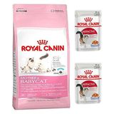 Royal Canin Mother and Baby Kitten 2 kg Yavru Kedi Maması + 2 Adet Yetişkin Yaş Maması