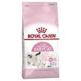 Royal Canin Mother Baby Cat Anne 2 kg Yavru Kedi Kedi Maması