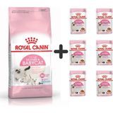 Royal Canin Mother Babycat 2 kg Yavru Kuru Kedi Maması + 6 Adet Yaş Mama