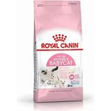 Royal Canin Mother & Babycat 4 kg Karışık Tatlı Kedi Maması, Sağlıklı Vücut Gelişimi Destekler