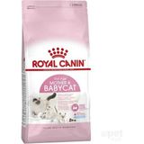 Royal Canin Mother Babycat 4 kg Yavru Kuru Kedi Maması Karışık Tat ile Bağışıklık Desteği