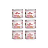 Royal Canin Mother & Babycat Anne Hamile Ve Yavru Kediler Için Konserve Kıyılmış Pate Yaş Mama 195 G