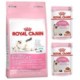 Royal Canin Mother&Baby Kitten 2 kg Yavru Kedi Maması + Kitten 2 Adet Original Yavru Yaş Kedi Maması