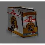 Royal Canin Persian 12x85 gr Yetişkin Kedi Konservesi