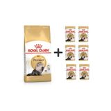 Royal Canin Persian Yetişkin Kedi Maması 4 kg + 6 Adet Yaş Mama
