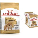 Royal Canin Pomeranian 1.5 kg Yetişkin Köpek Maması + 12 Adet Yaş Mama