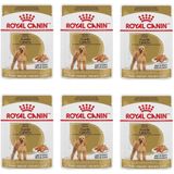 Royal Canin Poodle 6x85 gr Köpek Yaş Mama