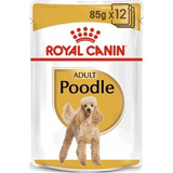Royal Canin Poodle 85 g 12 Adet Yetişkin Köpek Konservesi