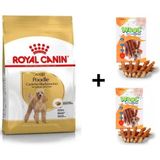 Royal Canin Poodle Adult 3 kg Köpek Maması + 2x80 gr Wooc Ödül