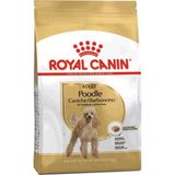 Royal Canin Poodle Adult 3 kg Kuru Köpek Maması