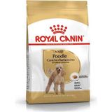 Royal Canin Poodle Adult Yetişkin Köpek Maması 3 kg Tavuk İçerikli Süper Premium Besin