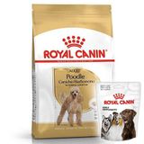 Royal Canin Poodle Irkı 3 kg Yetişkin Köpek Maması + Köpek Ödülü