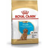 Royal Canin Poodle Junior Yavru Köpek Maması 3 Kg Balık Protein Kaynağı ile Özel Formül