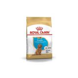 Royal Canin Poodle Junior Yavru Köpek Maması 3 Kg, royalcanin90
