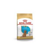 Royal Canin Poodle Puppy Köpek Maması 3 Kg, CVP3182550765206