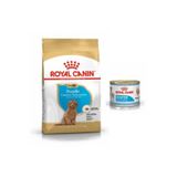 Royal Canin Poodle Puppy Yavru Köpek Maması 3Kg