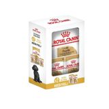 Royal Canin Poodle Yetiskin Kopek Mamasi 3 Kg + 2 Adet Yas Mama Hediyeli 3 Kg