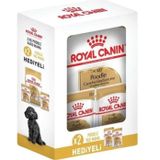 Royal Canin Poodle Yetişkin Köpek Maması 3 kg + 2X85G YAŞ MAMA