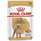 Royal Canin Poodle Yetişkin Pouch Yaş Köpek Mamas 12x85 gr