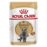 Royal Canin Pouch British Shorthair 6x85 gr Yetişkin Kedi Konserve
