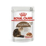 Royal Canin Pouch Gravy Ageing +12 Yaşlı 85 gr Kedi Yaş Maması