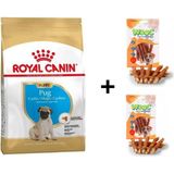 Royal Canin Pug Junior 1.5 kg Yavru Köpek Maması + 2x80 gr Wooc Ödül