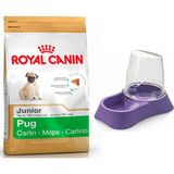 Royal Canin Pug Junior Yavru Köpek Maması 1,5 kg + Evohe Mama Kabı