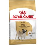 Royal Canin Pug Yetişkin Köpek Maması 1,5 kg Sağlıklı Deri ve Kas Tonu İçin Özel Formül