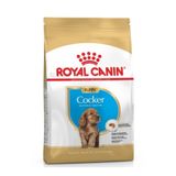 Royal Canin Puppy Cocker 3 kg Yetişkin Köpek Maması