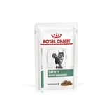 Royal Canin R0yal Canin Satiety Weight Management Kedi Maması 12x85gr