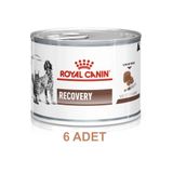 Royal Canin Recovery Pate Yoğun Bakım Konserve Kedi ve Köpek Maması 195 Gr x 6 ADET