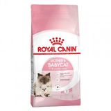 Royal Canin Royal Canin Babycat Yavru Kuru Kedi Maması 2 Kg