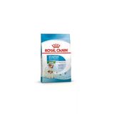 ROYAL CANIN Royal Canin Mini Starter Mother&Babydog Küçük Irk Yavru Köpek Maması 4kg